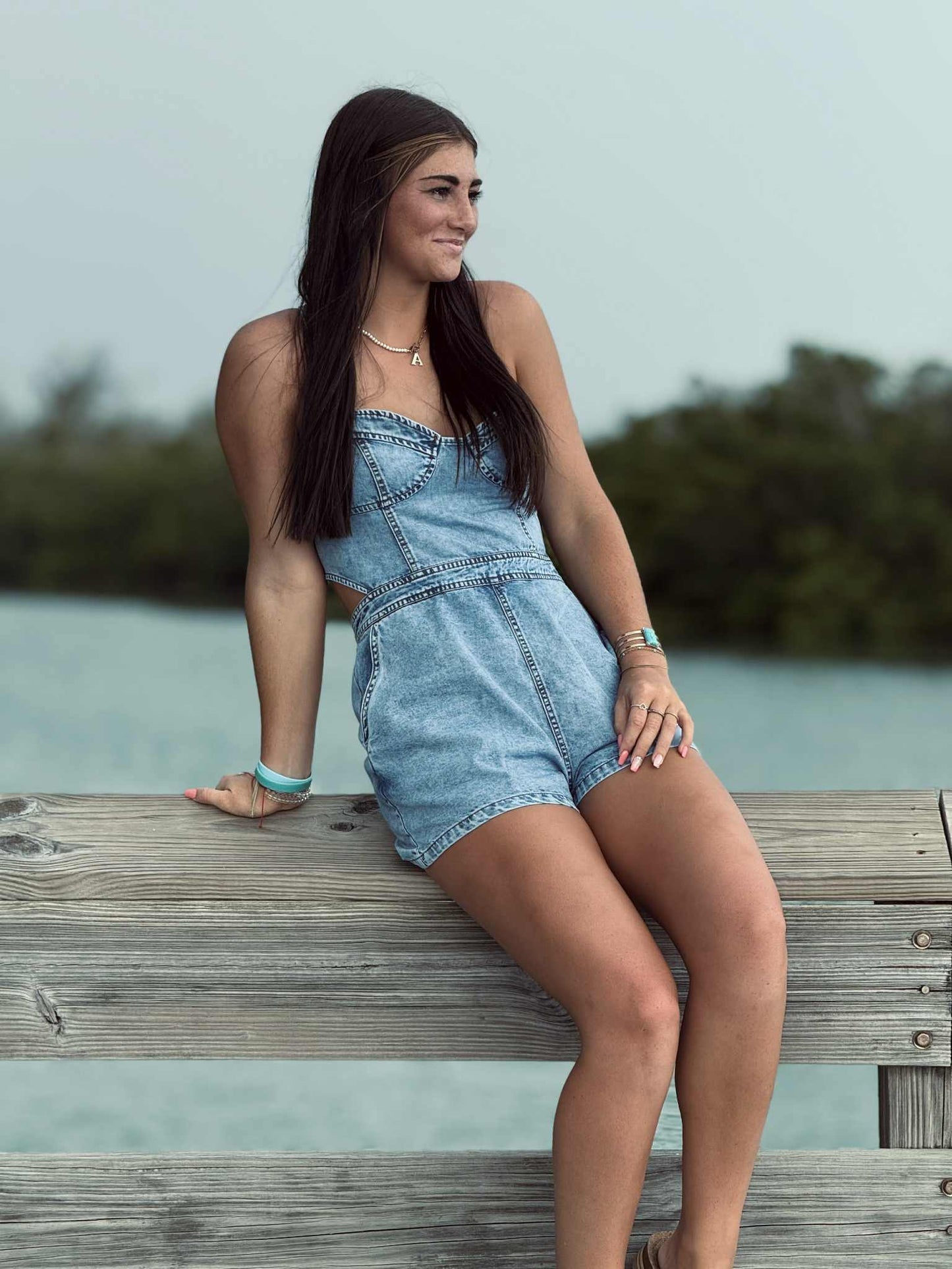Dust & Daisies Denim Romper